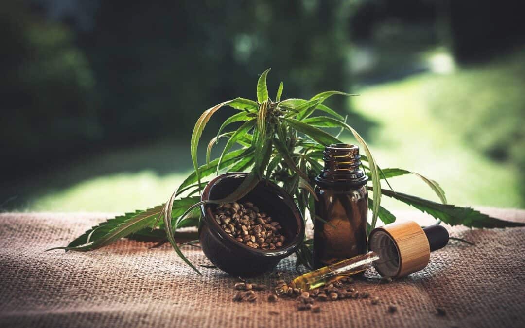 A Beginner’s Guide To CBD Oil: What It Is, How To Use It
